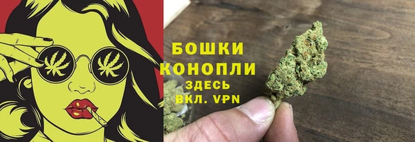 трава Беломорск