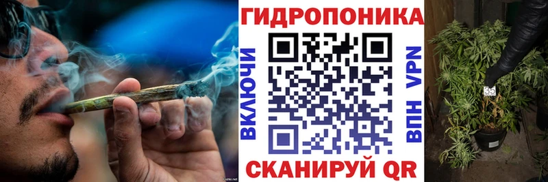 Шишки марихуана индика  Кыштым 